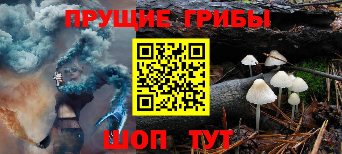 Псилоцибиновые грибы ЛСД  Вход с VPN  Строитель  закладки  Галлюциногенные грибы прущие грибы 